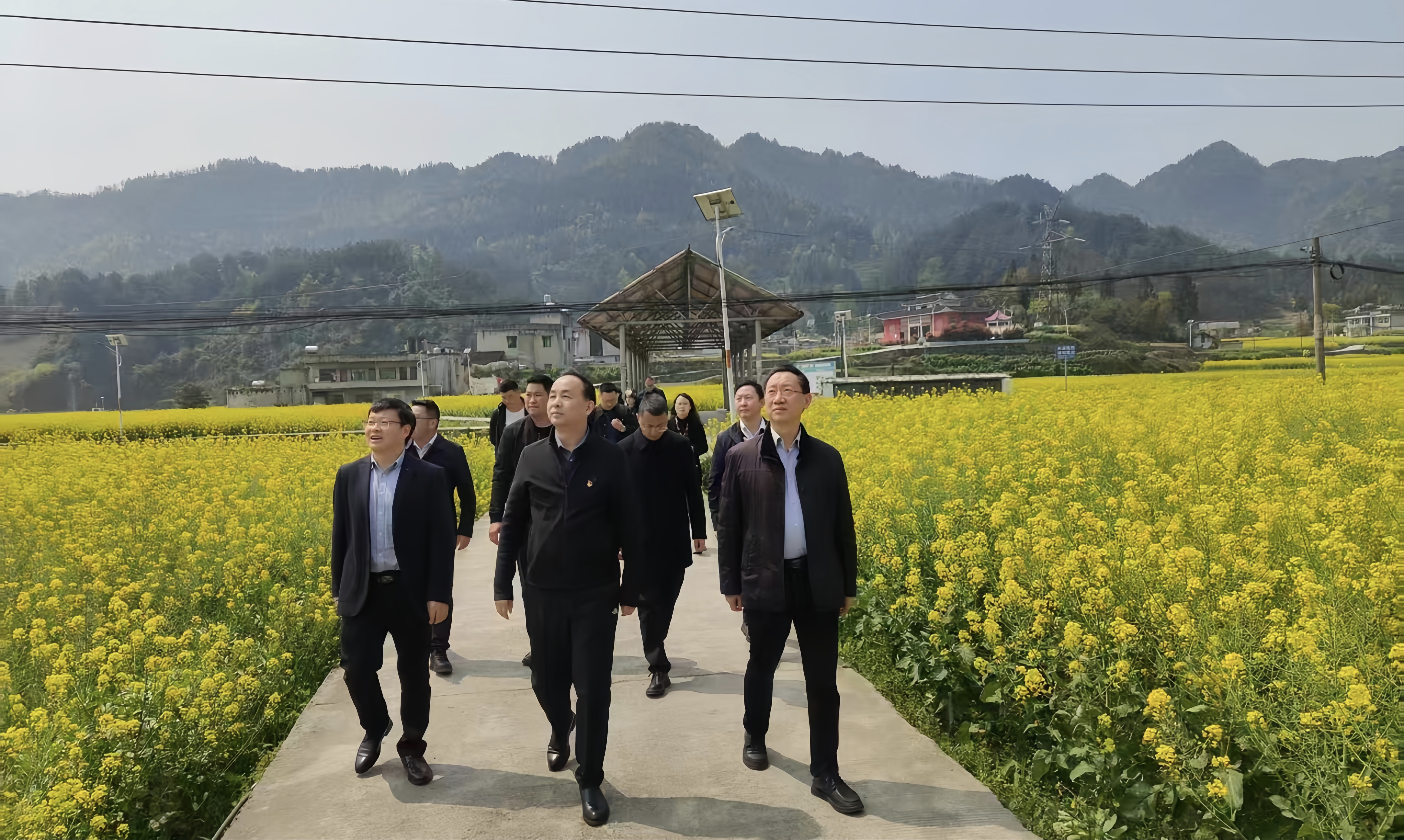 微信图片_20250403010918.jpg