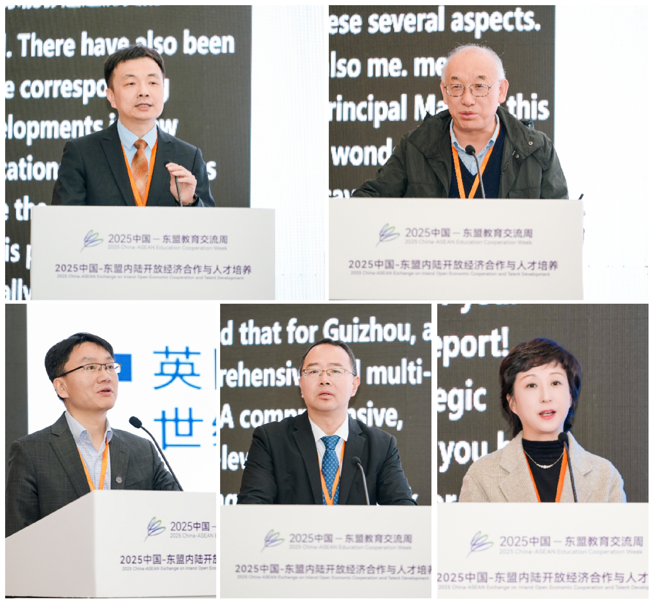 新拼图.jpg 新拼图.jpg