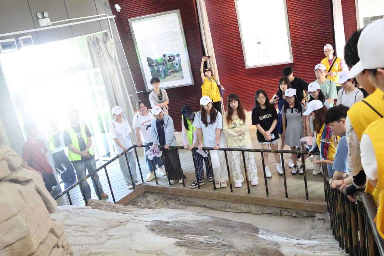 20250705101930_IMG_1881