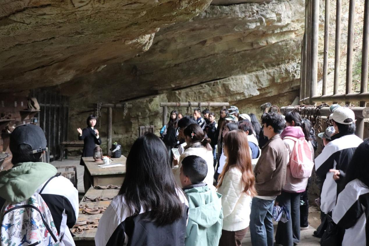 图片3.png 图片3.png